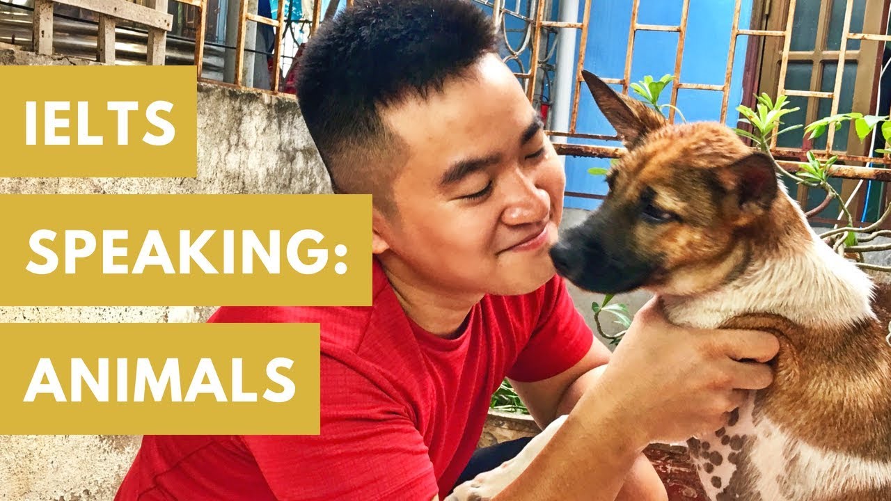 I ADOPTED A DOG!!! :D IELTS SPEAKING: Nói về động vật