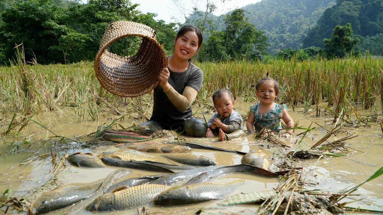 Single mother Catch giant fish to sell at the market - buy clothes to keep your children warm