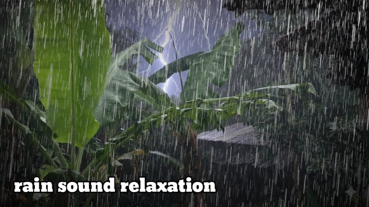 Natural rain sounds are suitable for you to sleep, rain sounds for sleeping