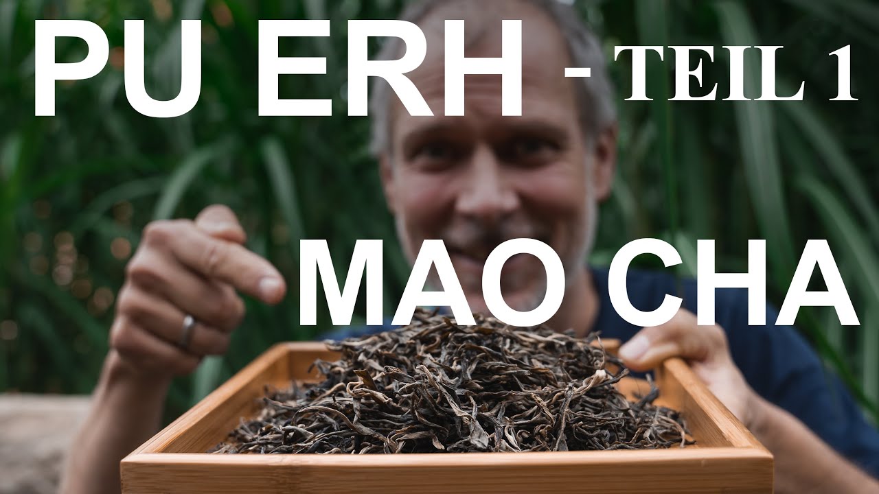 Einführung in die Welt des Pu Erh - Teil 1 - Mao Cha