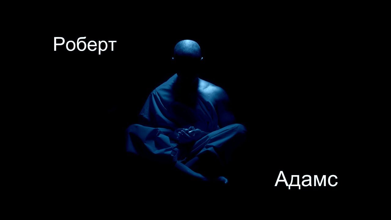 Роберт Адамс - Я пришёл, чтобы убить ваше эго. Сатсанг | Аудиокнигa | Адвайта | NikOsho