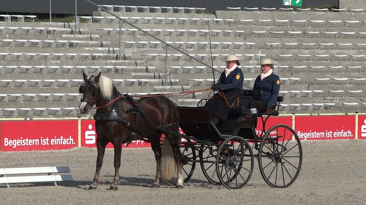 11. Elischa Rosalie - LP Ziehen und Fahren im HuL Gest&uuml;t Marbach am 14.09.2021 - Dressur