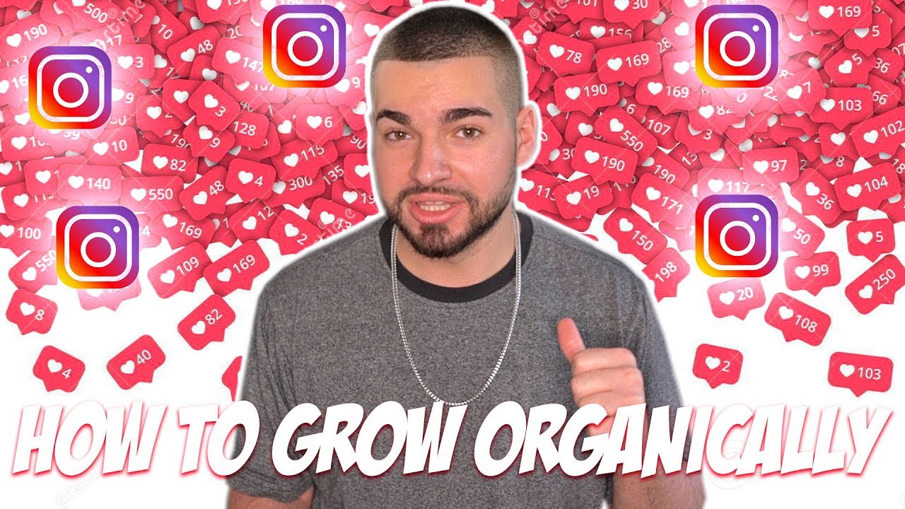 Grow Your Instagram Organically 2019 (FREE)