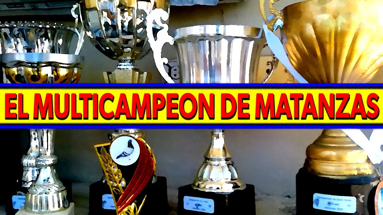 COLOMBOFILIA 💥 EL MULTICAMPEON DE MATANZAS 💥