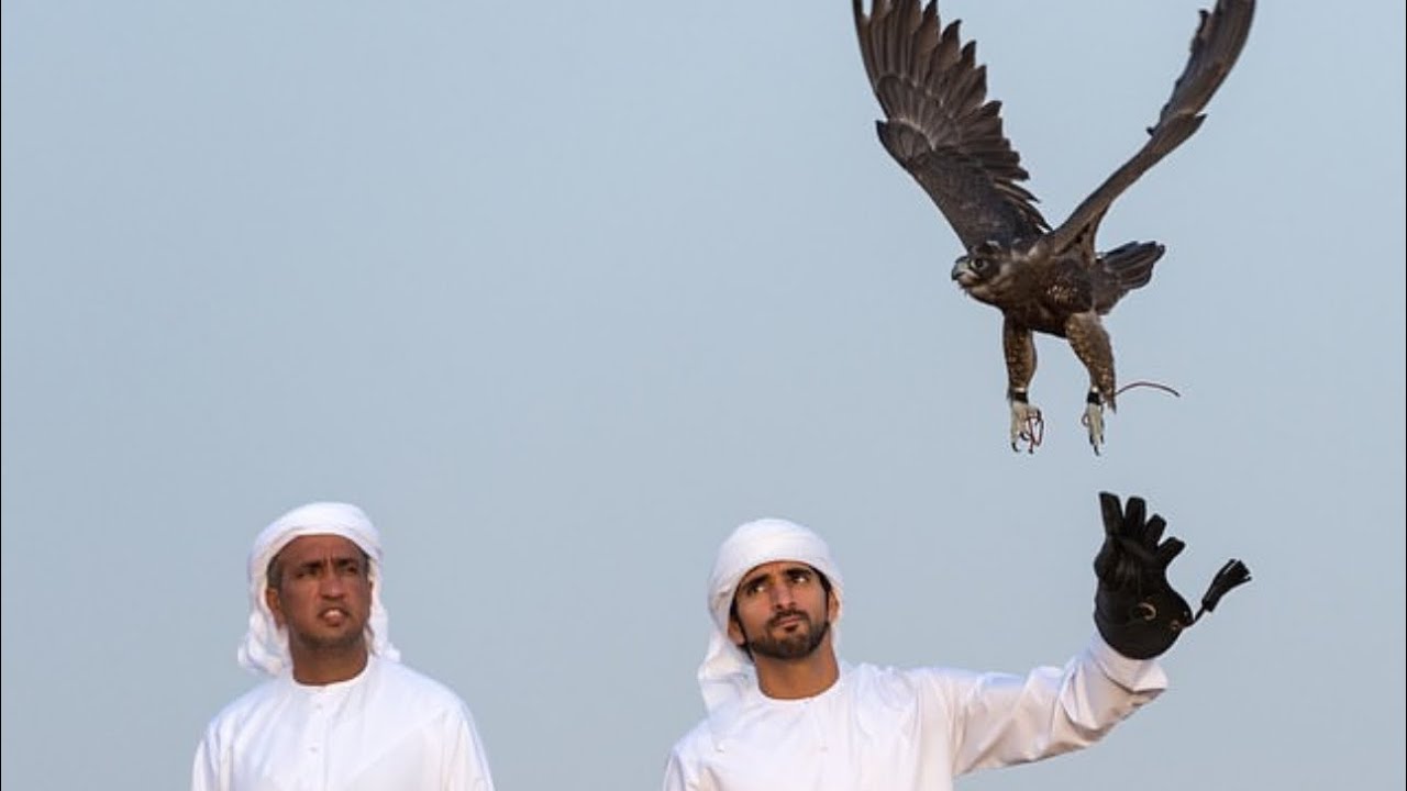 رموز الهجن كلمات فارس الثابتي واداء عبدالعزيز ال سويدان اهداء إلى سعيد ابن طراف المنصوري