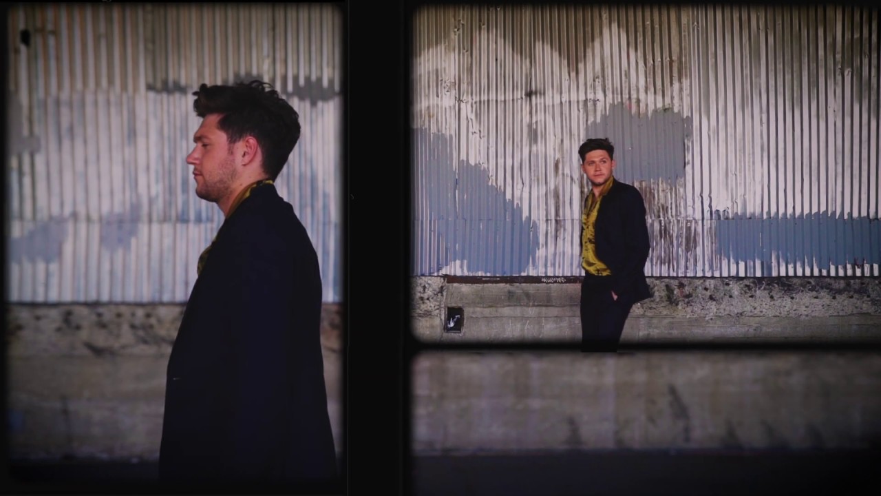 Niall Horan - Everywhere (Official Visualizer)