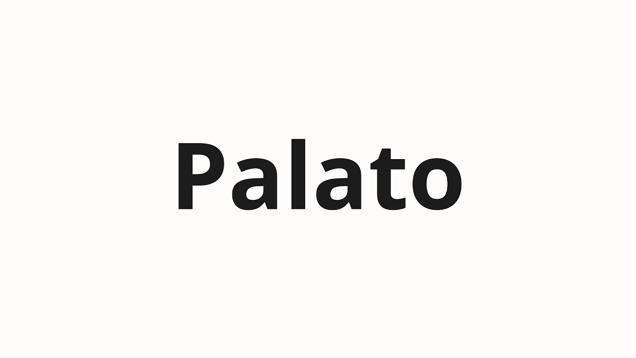 Jak wym&oacute;wić Palato