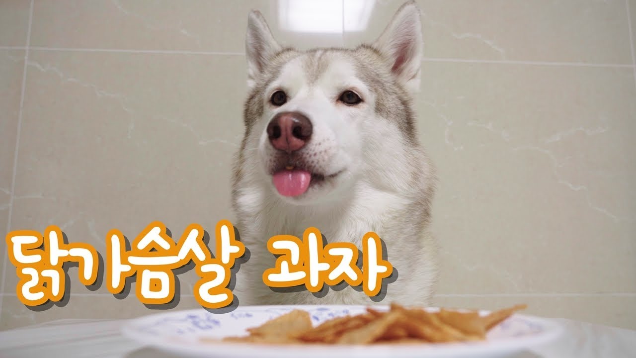 바사삭한 닭가슴살 과자를 먹어봅시댜~