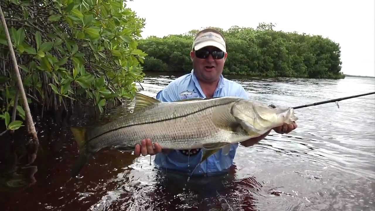 Fly Fishing Film Tour - Fly Fishing Mexico Inshore