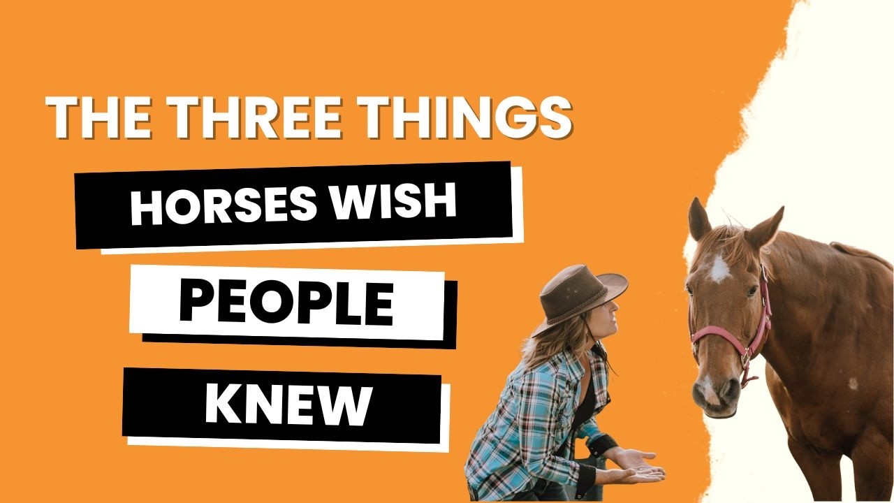 The three things horses wish humans knew