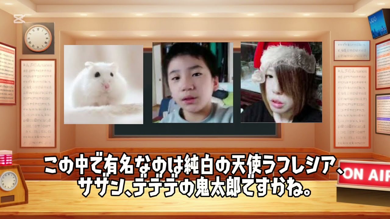 YouTubeの荒らしについて詳しく解説・説明