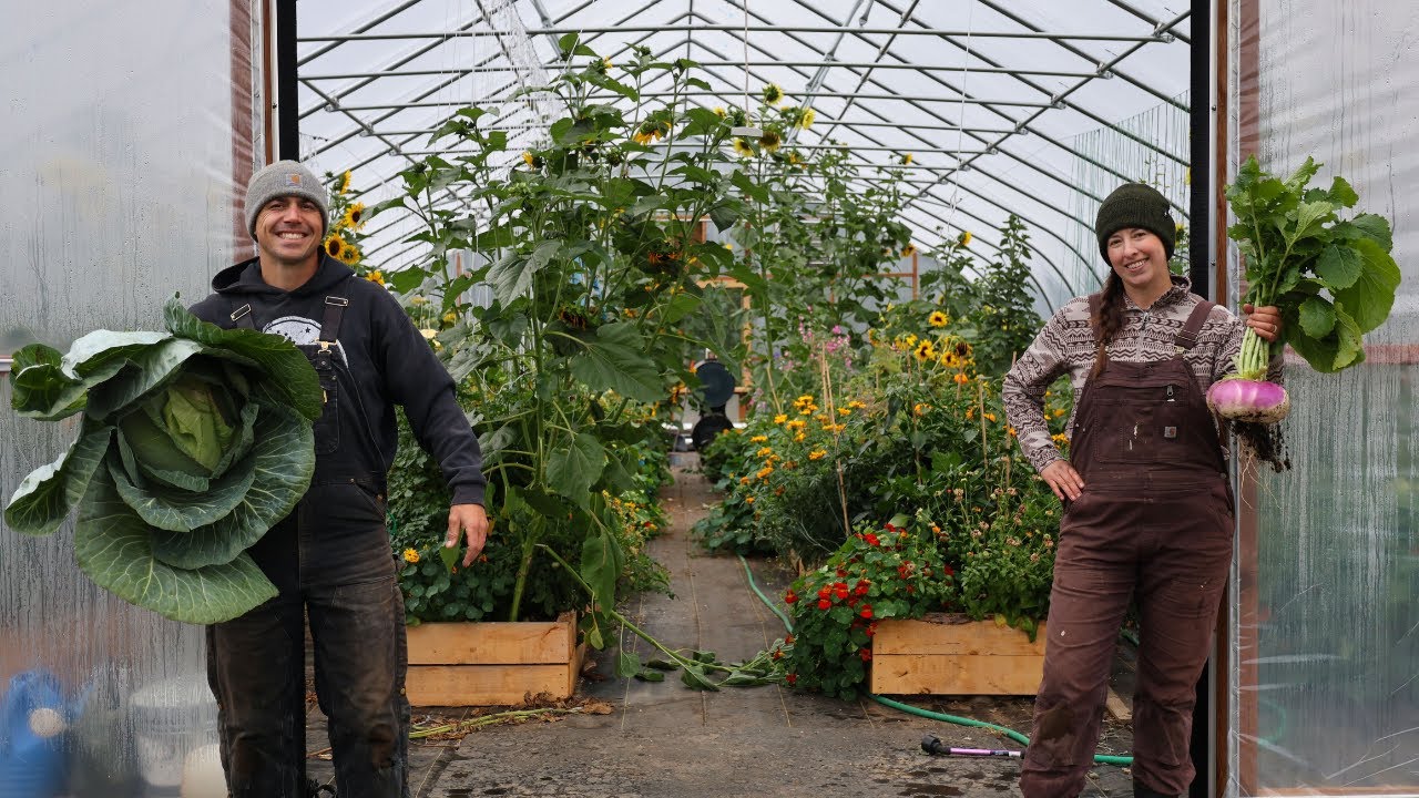 Our BEST Garden Yet – Harvesting & Preserving for Winter | Ratatouille and Kimchi