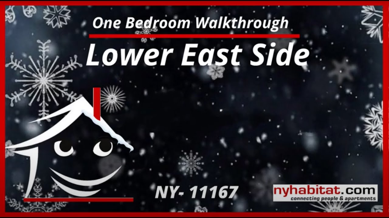 1 Bedroom Apartment Walkthrough in Lower East Side