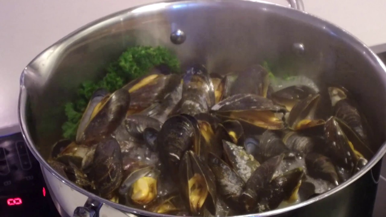Kend din Fisk 