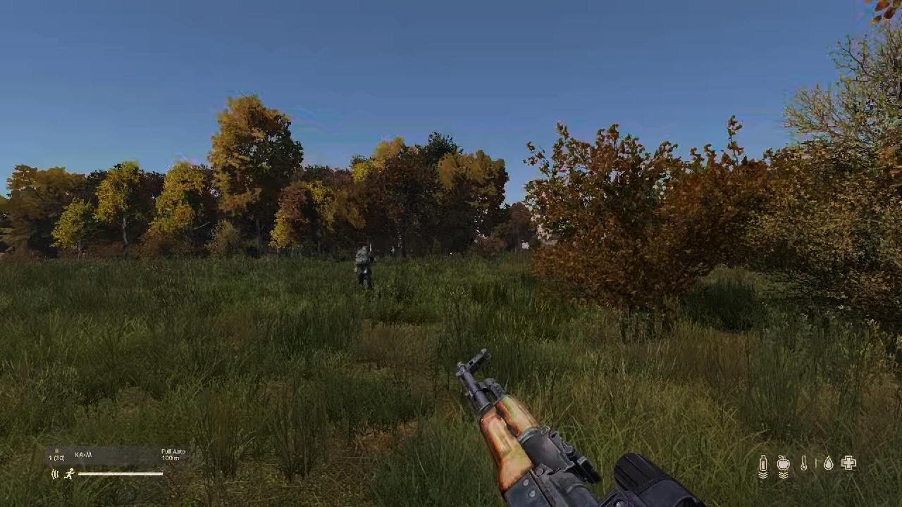 DayZ_20260303205549