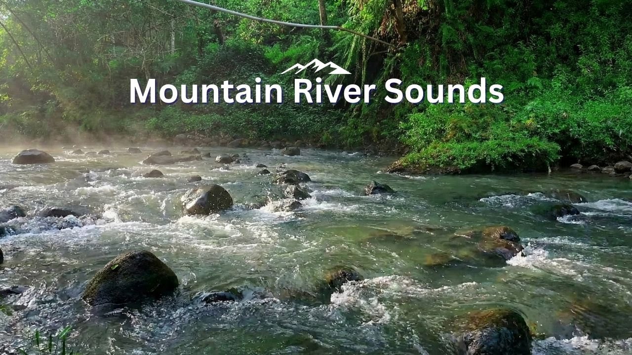 8 Hours Gentle River Sounds for Deep Sleep All Night Steady Natural Forest Water Flow