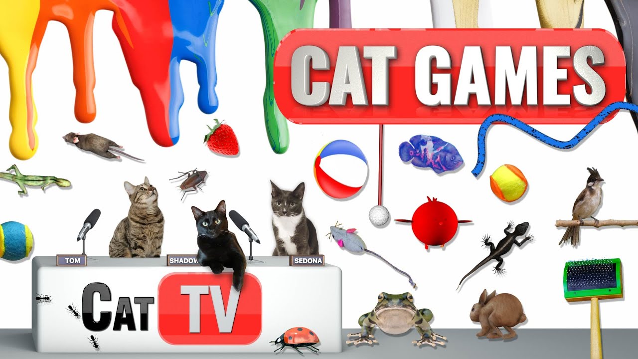 КОТ-игры | Лучшая подборка Cat TV, том 46 | 2 ЧАСА 🐝🐞🦋🦎🦜🐜🐭🧵