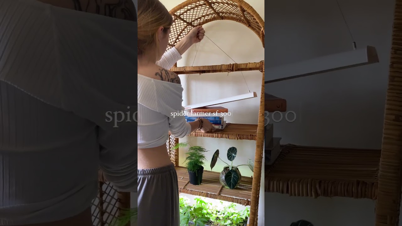 Installing My New SF300. They Fit Perfectly On My Rattan Shelf And They&rsquo;re Sooo Bright, Looove Them💡