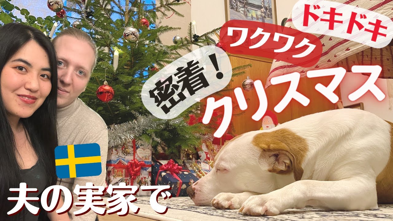 愛犬と祝う🇸🇪スウェーデン一家のクリスマスがすごかった！【初公開🐶】