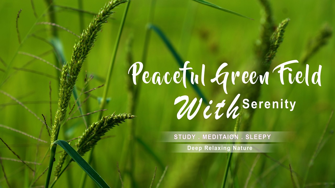 Peaceful Green Field Serenity🌾| Deep Relaxing Nature Sounds for Sleep Study Meditation&Stress Relief