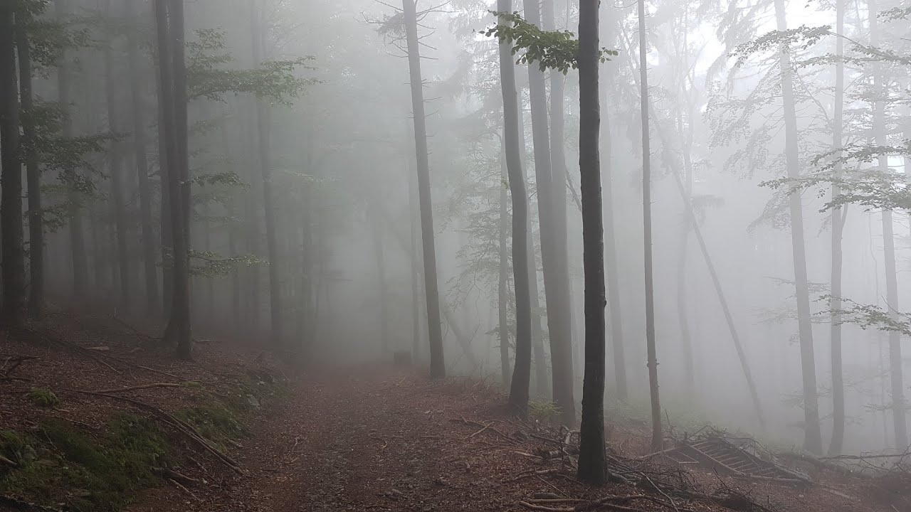 🚵 MTB Rusel Rund&acute;n mit vui Nebel 🌫️  #MyKomootStory #Gei&szlig;kopf