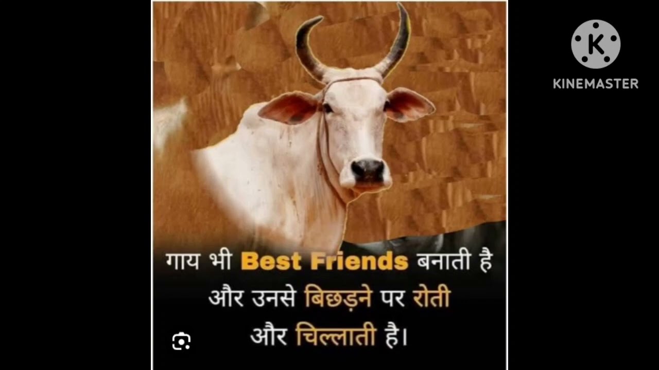 #motivation #viral #facts #mpsc #emotional #trendingshorts #trendng2023#viral #cbse #status #succe