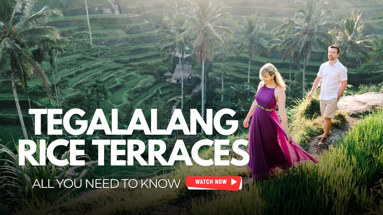 Tegalalang Rice Terraces: Everything You Need to Know Before You Go!