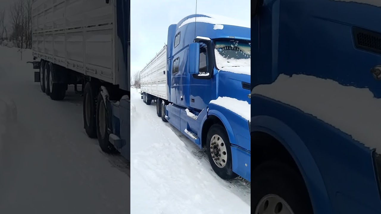 Предрейсовая подготовка . Америка ЗЕРНОВОЗ 