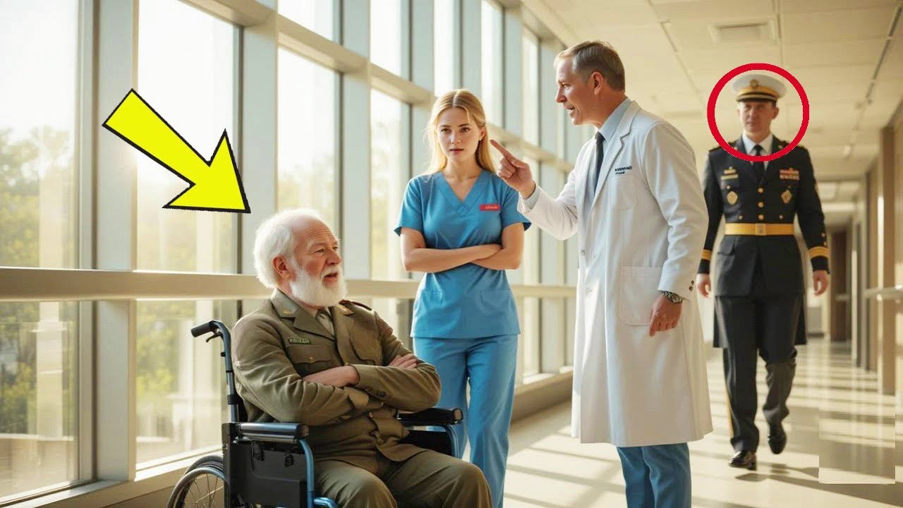Sie half einem alten Veteranen &ndash; dann verlor sie ihren Job, bis ein General alles ver&auml;nderte