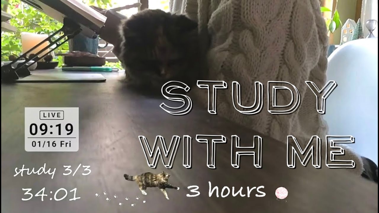 Study with me | pomodoro 50/10 | 8:00 - 11:00 -  fire crackling 一緒に勉強しましょう【作業用 焚火の音🔥】