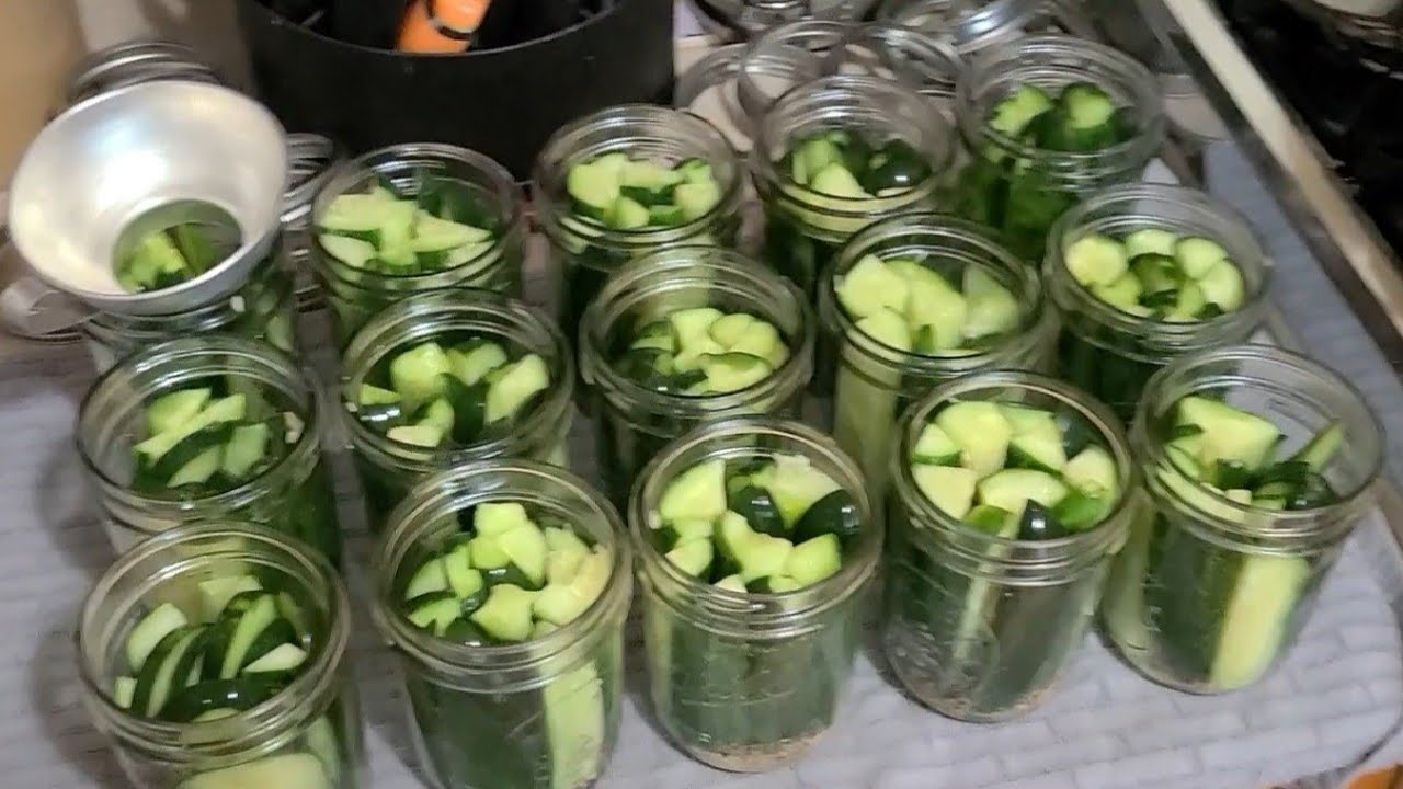Canning Extra Crunchy Dill Pickles