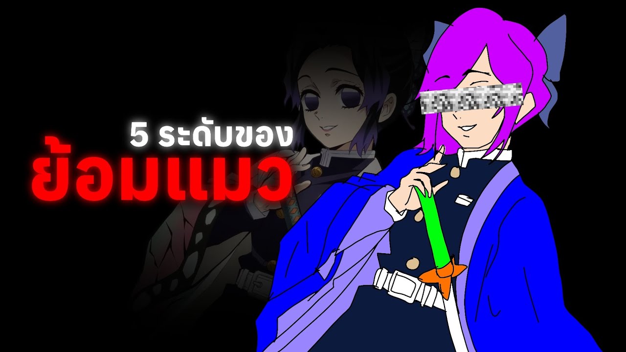 5 ระดับของ ย้อมแมว