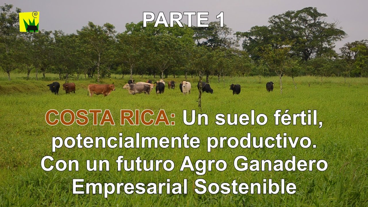 Costa Rica: Un suelo fértil, potencialmente productivo (1 de 3)