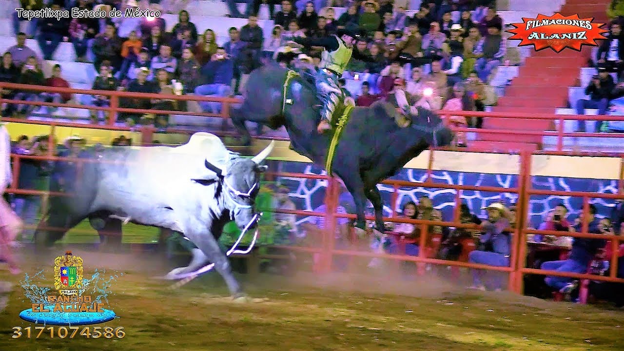 ¡¡SE NOS FUE EL DÓLAR!!... ESTA ES SU ÚLTIMA MONTA. SE FUE A LA GIRA USA 2018 DE RANCHO EL AGUAJE