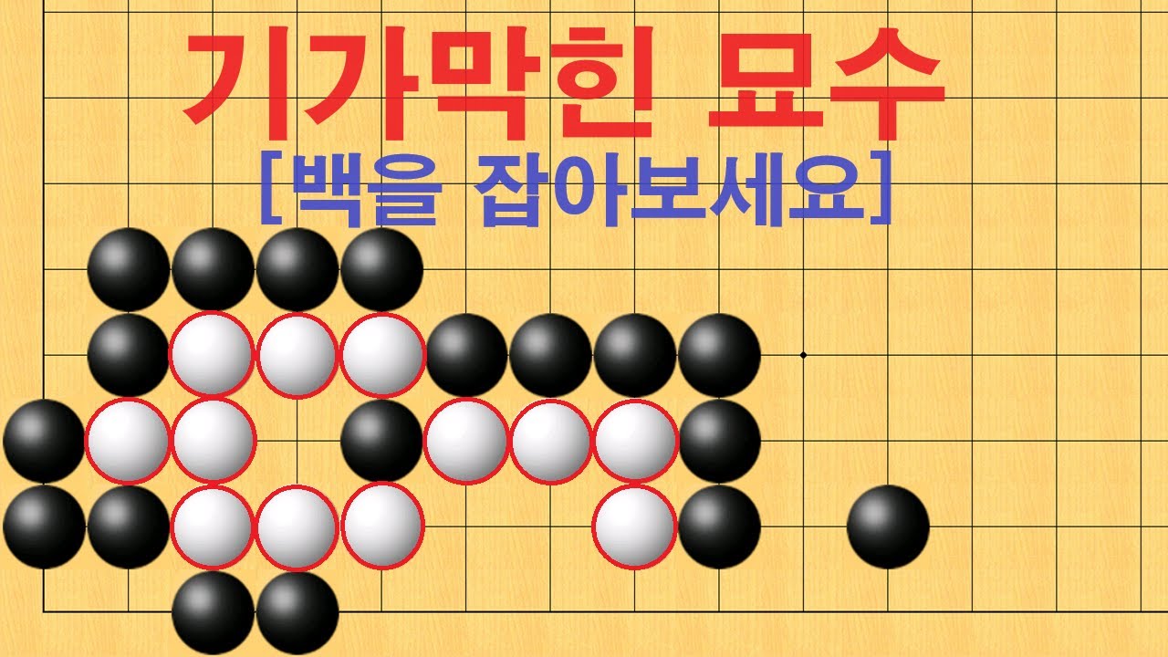 바둑 묘수 사활 - 기가막힌 묘수로 백을 잡아보세요