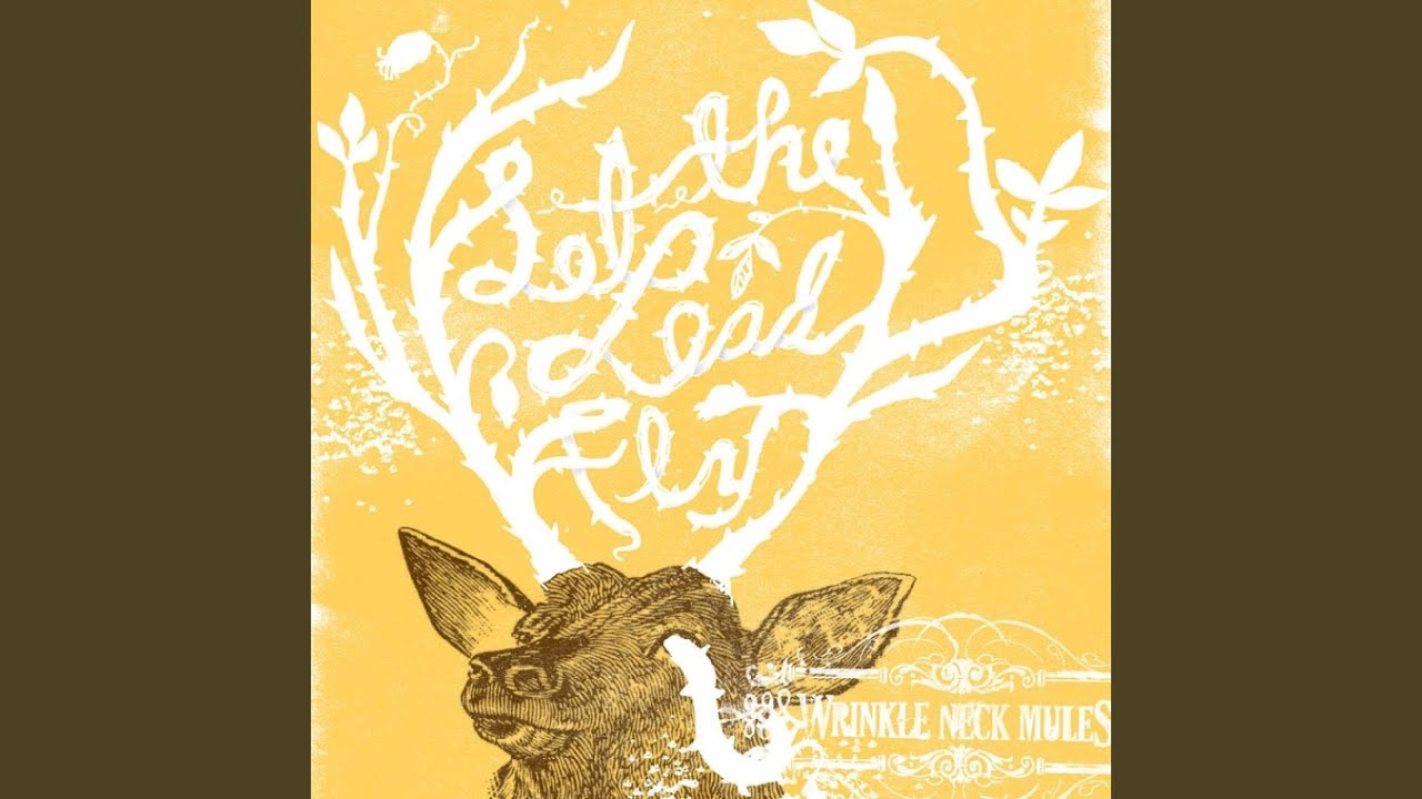 Let the Lead Fly