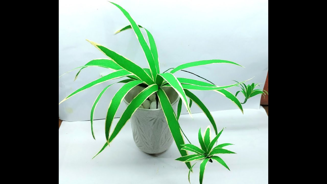How to make Crepe Paper Spider Plant / Chlorophytum comosum (flower # 275)