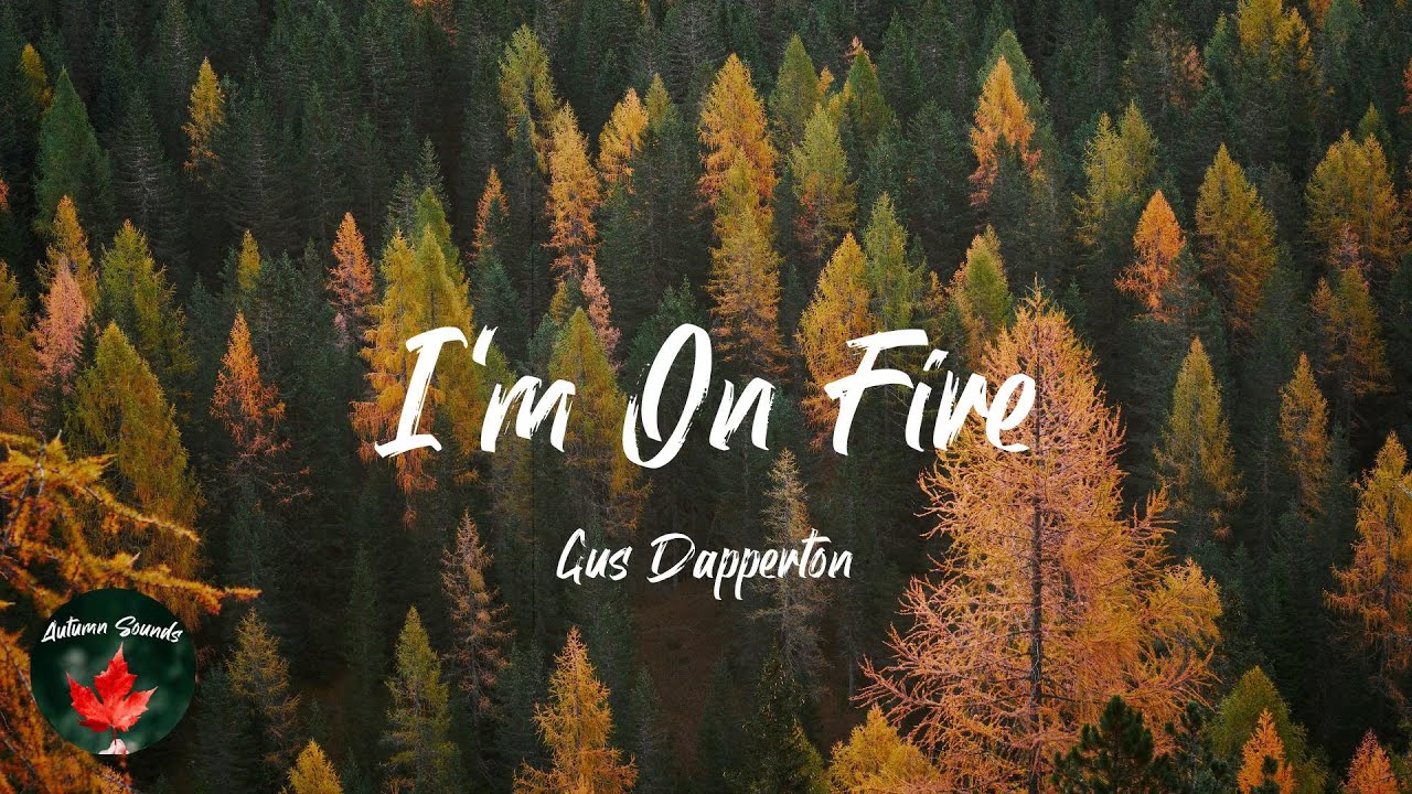 Gus Dapperton - I'm On Fire (Lyric video)