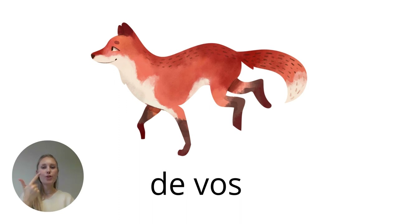 Nederlands leren: Woordenschat - Dieren in het bos