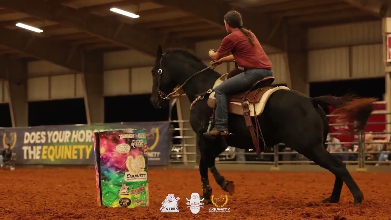 Rudy, AQHA Gelding for Sale