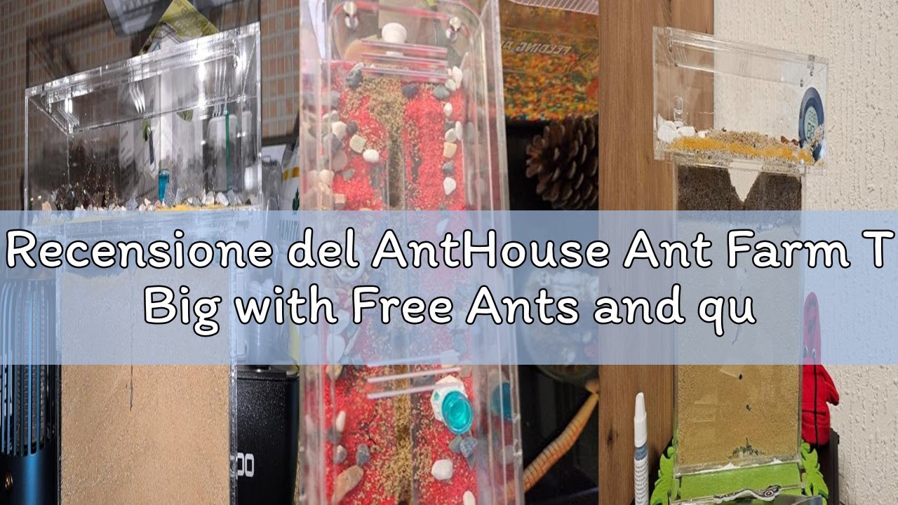 Recensione del AntHouse Ant Farm T Big with Free Ants and queen – Educational formicarium For Live