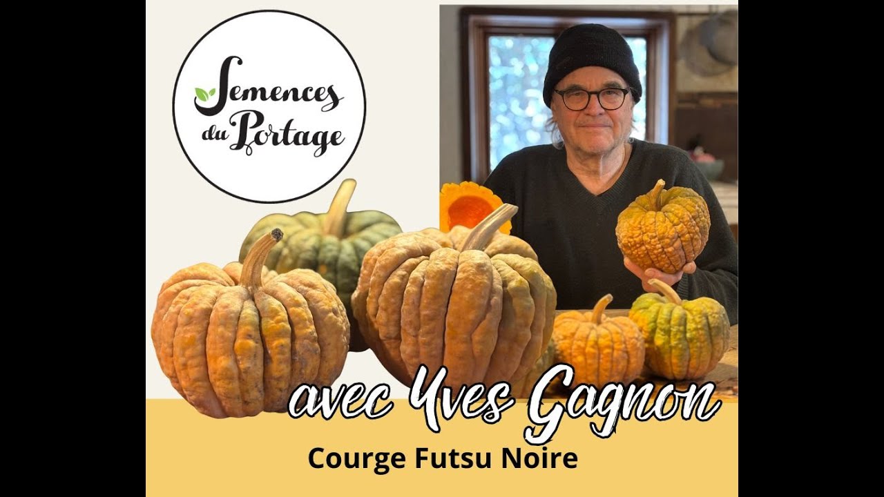 Courge Futsu Noire. Semences du Portage. Yves Gagnon.
