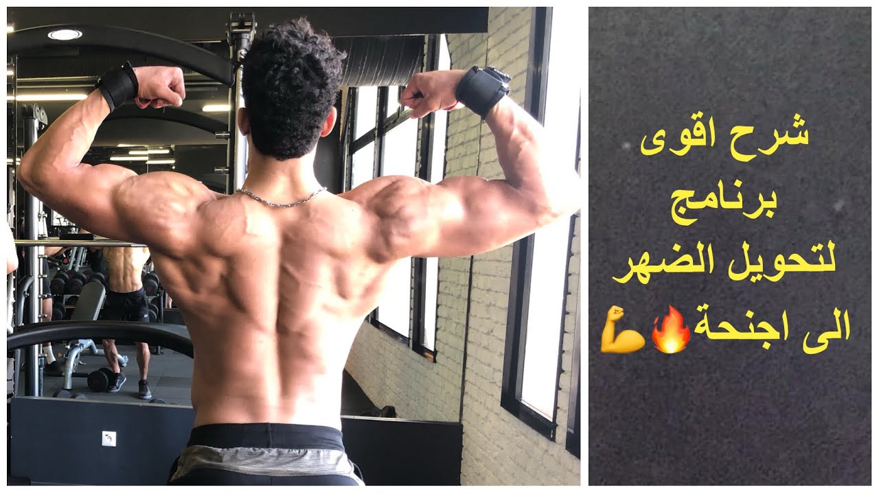 BACK WORKOUT| شرح اقوى برنامج لتحويل الضهر الى اجنحة🔥💪