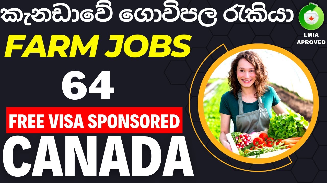 Canada free visa sponsored farm jobs | කැනඩාවේ රැකියා | farm jobs in canada 🍁🇱🇰