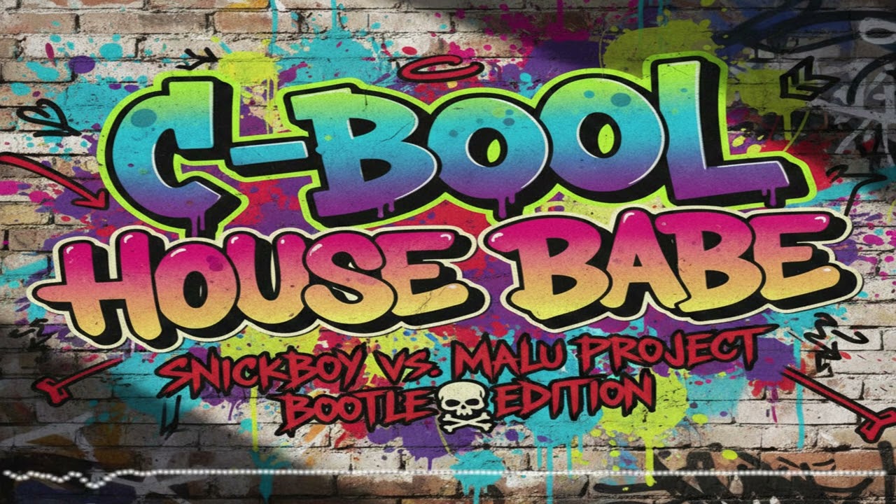 C-Bool - House Babe (SnickBoy Vs MaLu Project Bootleg Edition)