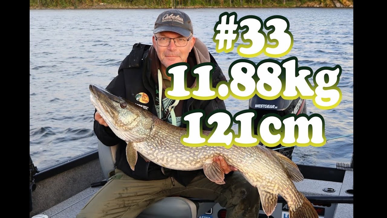 Gädda 10kg+ del 33, 11.88kg
