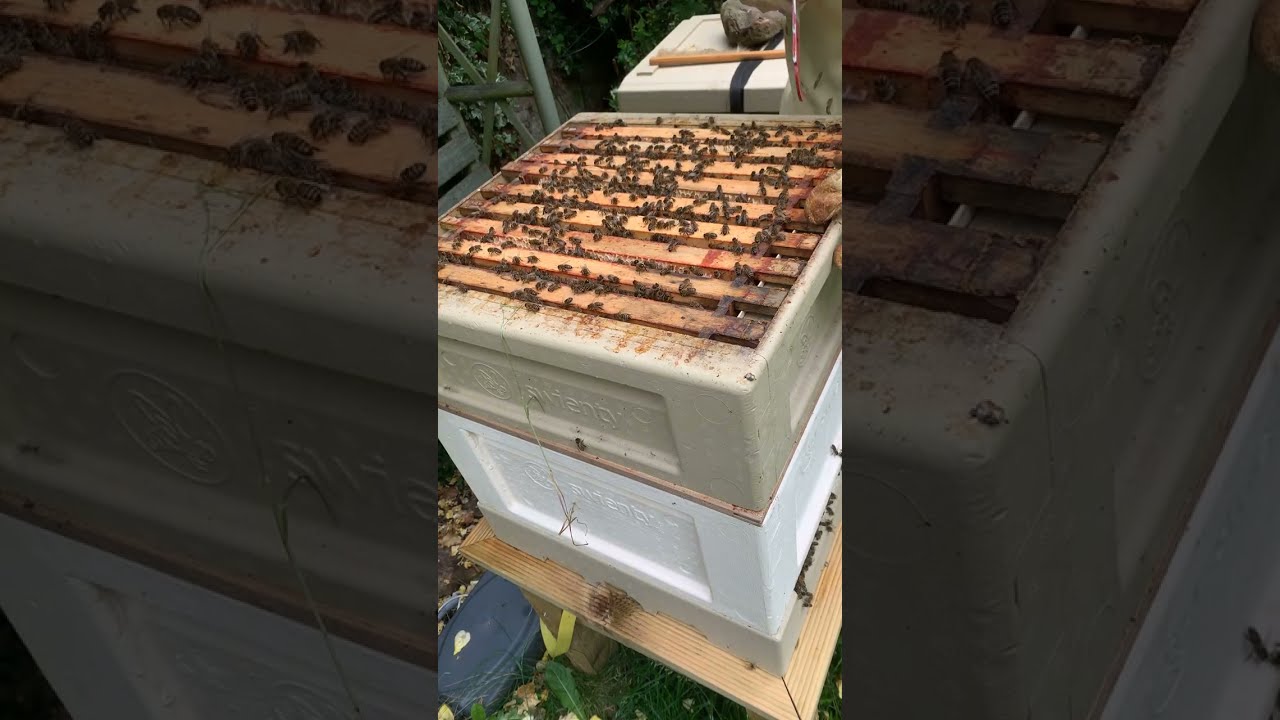 Part 1: Removing two full supers