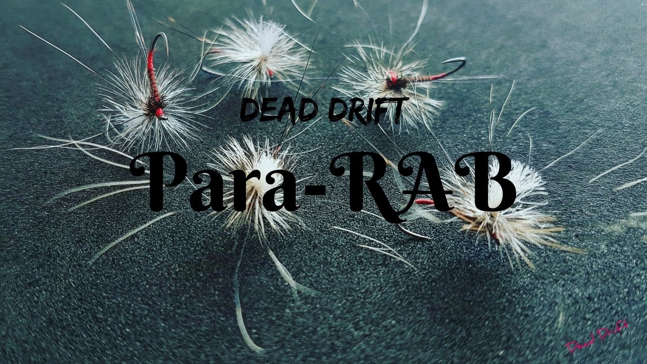 Dead Drift - Para-RAB Variation (Featuring Thomas the Squirrel)