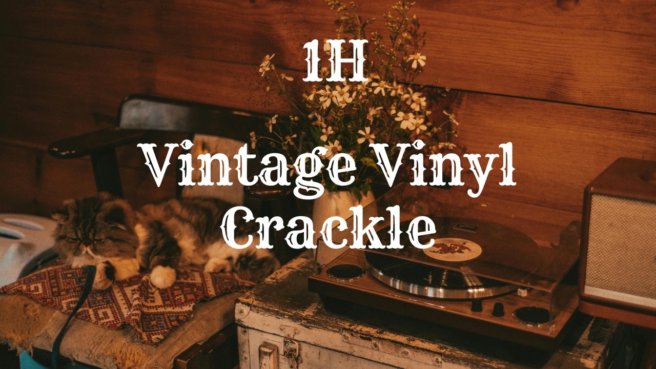 🎶 Vintage Vinyl Crackle &ndash; 1 Hour of Analog Ambience