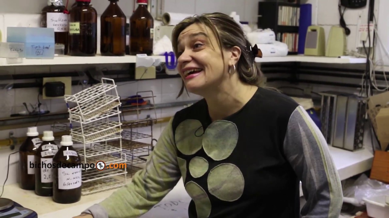 Carina &Aacute;lvarez - Profesora de la C&aacute;tedra Fertilidad y Fertilizantes de la FAUBA